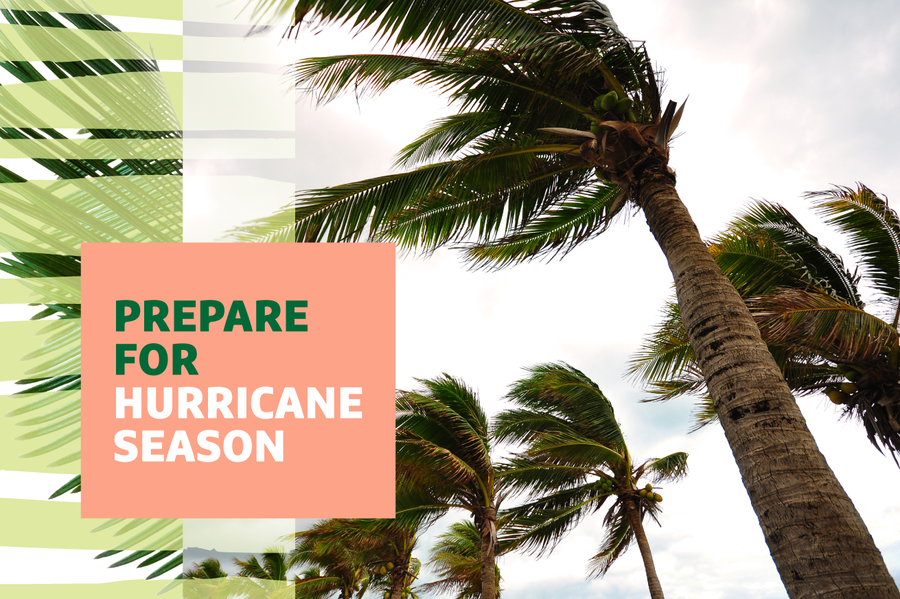 Several palm trees blowing in the winds of a storm with "Prepare for Hurricane Season" text overlaid.
