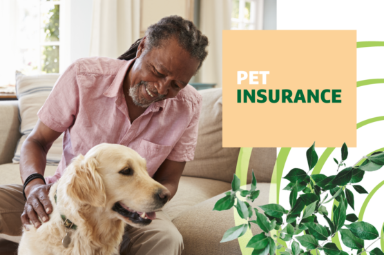 Man sitting on couch petting Golden Retriever with text headline "Pet Insurance" overlaid.